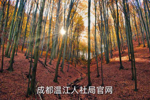 成都溫江人社局官網