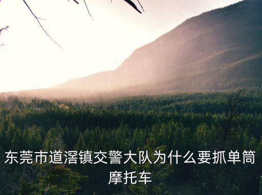 東莞交警支隊隊長是誰，廣東省東莞市交警支隊副支隊長有幾個及姓名