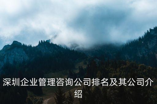 深圳善道企業管理咨詢有限公司，深圳企業管理咨詢公司有哪些