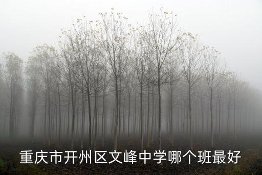 重慶市開州區金峰初級中學，重慶市開州區文峰中學哪個班最好