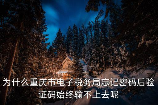 重慶市稅務局電子稅務局官網，在重慶稅務局官方網站上按照步驟繳納了購置稅但是下載電子完稅