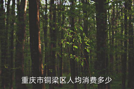 重慶市銅梁區(qū)人均消費多少