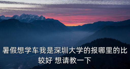 暑假想學車我是深圳大學的報哪里的比較好 想請教一下