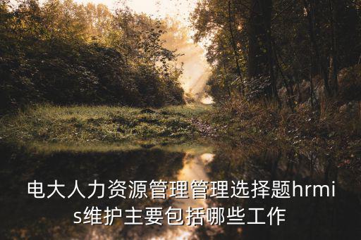電大人力資源管理管理選擇題hrmis維護(hù)主要包括哪些工作