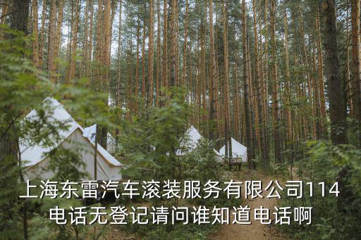 上海東雷汽車滾裝服務有限公司114電話無登記請問誰知道電話啊
