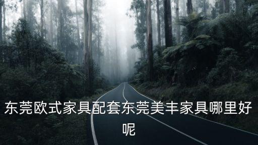 東莞歐式家具配套東莞美豐家具哪里好呢