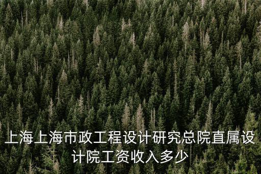 上海上海市政工程設計研究總院直屬設計院工資收入多少