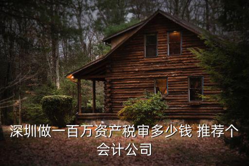 深圳做一百萬資產稅審多少錢 推薦個會計公司