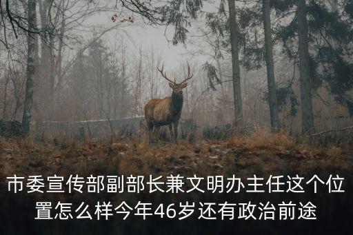 市委宣傳部副部長(zhǎng)兼文明辦主任這個(gè)位置怎么樣今年46歲還有政治前途