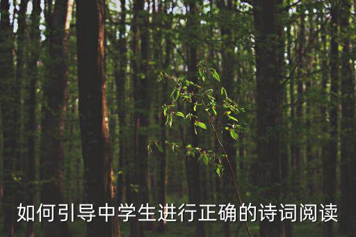 如何引導(dǎo)中學(xué)生進(jìn)行正確的詩詞閱讀
