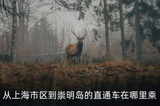 從上海市區到崇明島的直通車在哪里乘