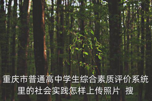 重慶市普通高中學(xué)生綜合素質(zhì)評(píng)價(jià)系統(tǒng)里的社會(huì)實(shí)踐怎樣上傳照片  搜