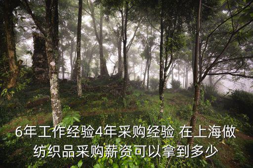 6年工作經驗4年采購經驗 在上海做紡織品采購薪資可以拿到多少