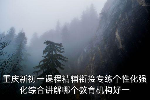 重慶新初一課程精輔銜接專練個性化強化綜合講解哪個教育機構(gòu)好一