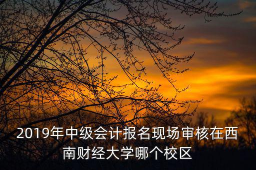 2019年中級(jí)會(huì)計(jì)報(bào)名現(xiàn)場(chǎng)審核在西南財(cái)經(jīng)大學(xué)哪個(gè)校區(qū)