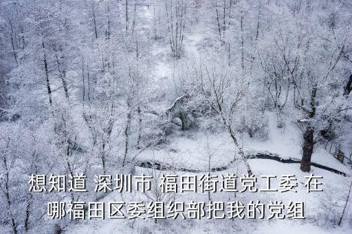 想知道 深圳市 福田街道黨工委 在哪福田區委組織部把我的黨組