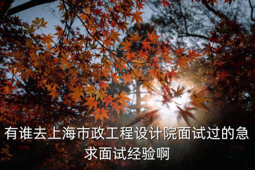 有誰去上海市政工程設計院面試過的急求面試經驗啊