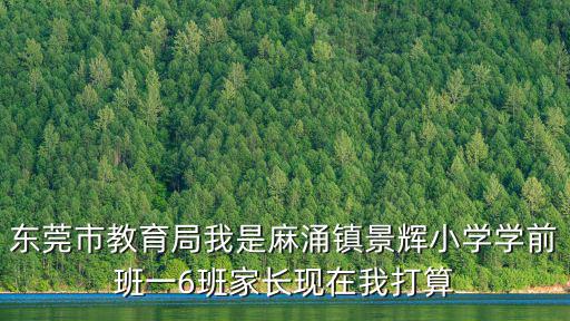 東莞市教育局我是麻涌鎮(zhèn)景輝小學學前班一6班家長現(xiàn)在我打算