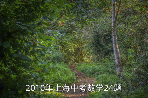 上海市中考數學模擬，2010年上海中考數學24題
