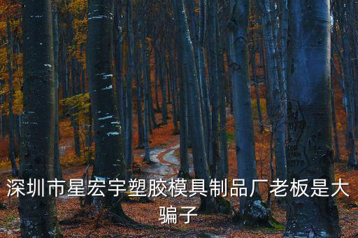深圳市星宏宇塑膠模具制品廠老板是大騙子