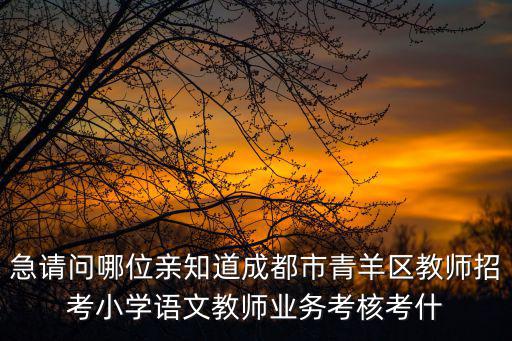 成都市蘇坡小學現在叫什么，成都 二小