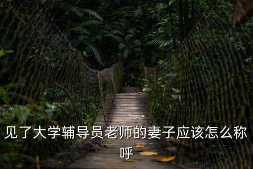 見了大學(xué)輔導(dǎo)員老師的妻子應(yīng)該怎么稱呼