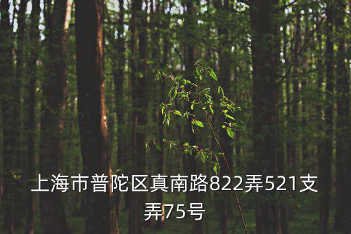上海市普陀區真南路822弄521支弄75號