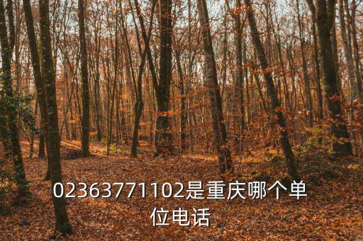 02363771102是重慶哪個單位電話