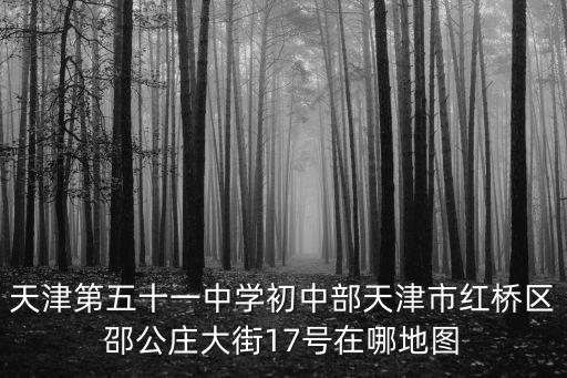 天津第五十一中學初中部天津市紅橋區邵公莊大街17號在哪地圖