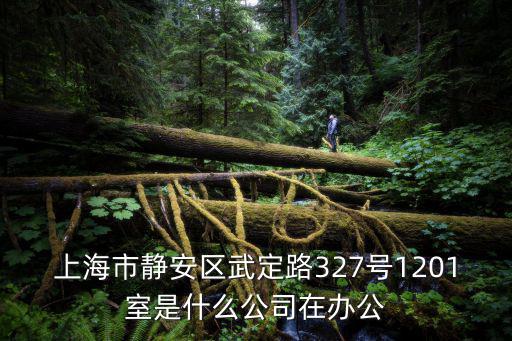 上海市靜安區(qū)武定路327號1201室是什么公司在辦公