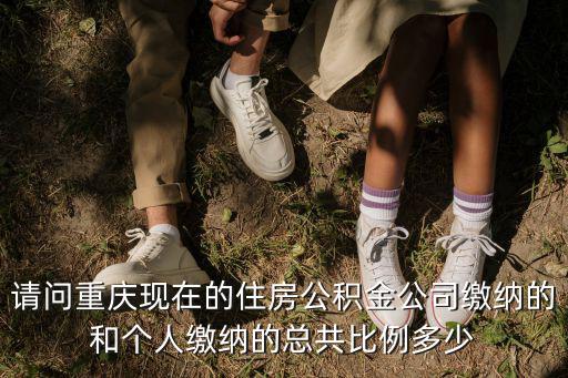 請問重慶現在的住房公積金公司繳納的和個人繳納的總共比例多少