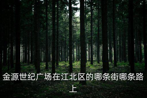 金源世紀廣場在江北區的哪條街哪條路上