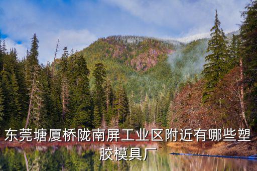 東莞塘廈橋隴南屏工業(yè)區(qū)附近有哪些塑膠模具廠