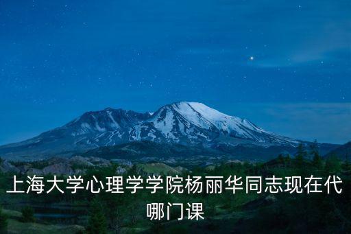 上海大學心理學學院楊麗華同志現在代哪門課