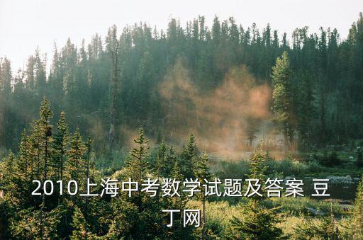 2010上海中考數(shù)學(xué)試題及答案 豆丁網(wǎng)
