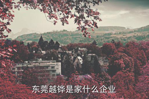 東莞精越倉儲(chǔ)公司，東莞哪家倉儲(chǔ)公司好儲(chǔ)家具的