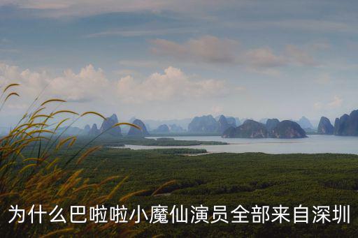 深圳小明星選拔，廣東現代教育頻道小明星選撥怎么樣