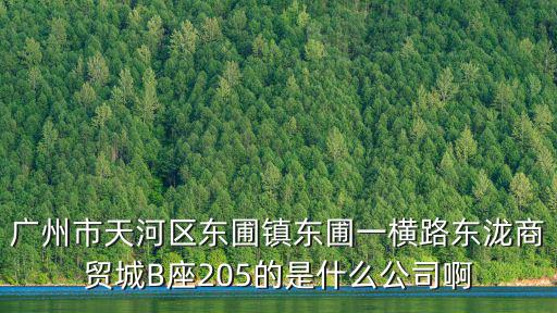 廣州市天河區東圃鎮東圃一橫路東瀧商貿城B座205的是什么公司啊