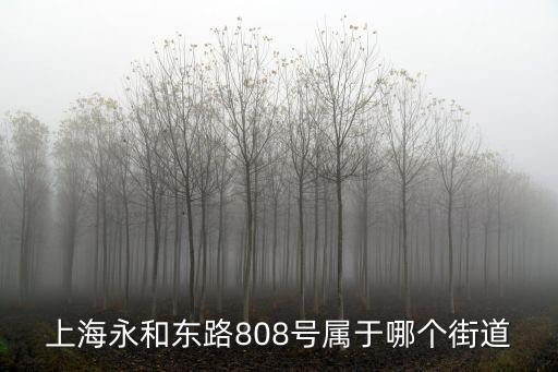 上海永和東路808號屬于哪個街道