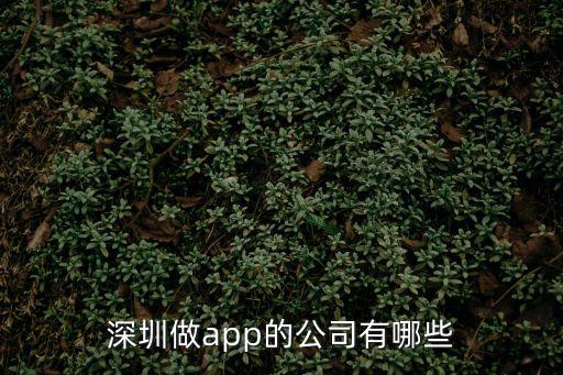 深圳能信安科技，我是想做淘寶找了了深圳一家科技公司交了6000可現(xiàn)在又說得要想做