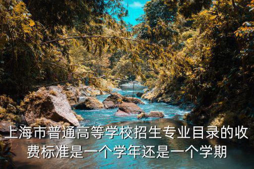 上海市普通高等學校招生專業(yè)目錄的收費標準是一個學年還是一個學期