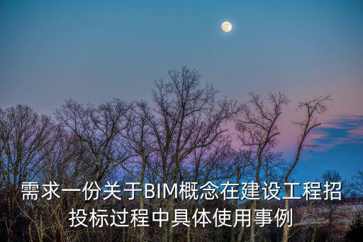 需求一份關于BIM概念在建設工程招投標過程中具體使用事例