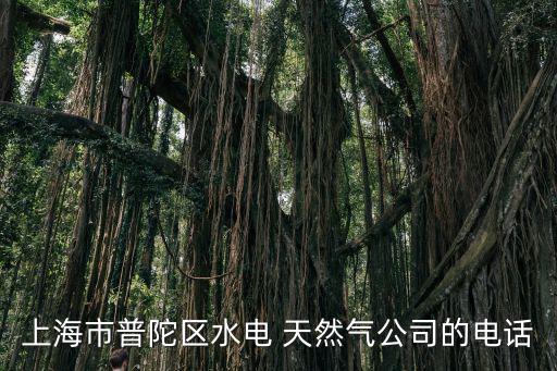 上海市普陀區(qū)水電 天然氣公司的電話