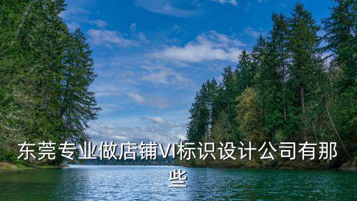 東莞企業vi設計，東莞專業做店鋪VI標識設計公司有那些