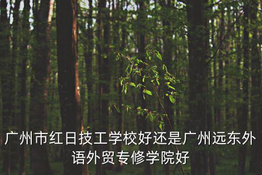 廣州市紅日技工學校好還是廣州遠東外語外貿專修學院好