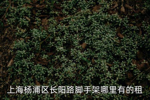 上海市周浦腳手架租售，上海楊浦區長陽路腳手架哪里有的租