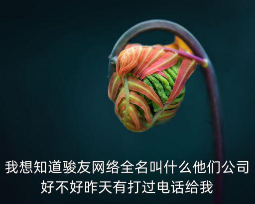 我想知道駿友網絡全名叫什么他們公司好不好昨天有打過電話給我