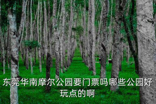 東莞華南摩爾動物園，東莞的華南摩爾好玩嗎