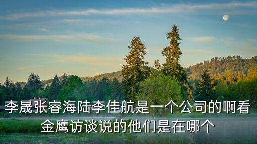 李晟張睿海陸李佳航是一個公司的啊看金鷹訪談說的他們是在哪個