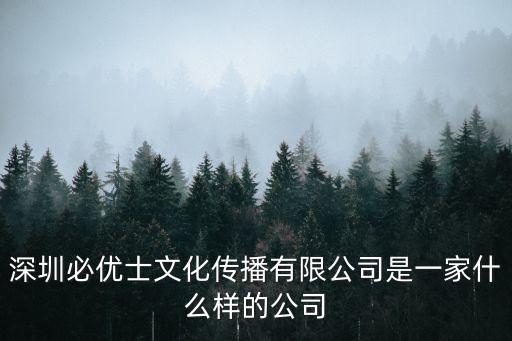 深圳必優士文化傳播有限公司是一家什么樣的公司